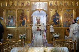 26.01.18 Сорокосвятский 050